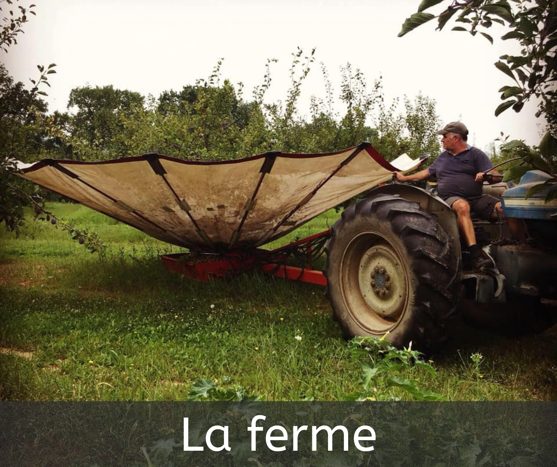 La Ferme du Lacaÿ La Ferme du Lacaÿ